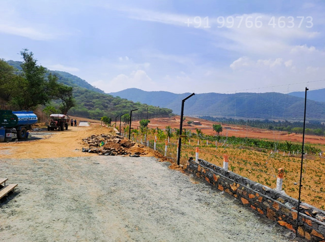 safari farms near velliangadu road