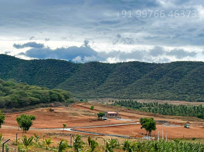 luxury farmhouse for sale in peelamedu