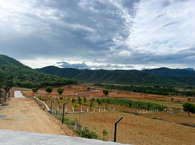 farmhouse for sale in peelamedu
