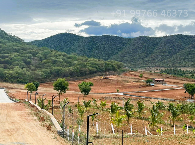 safari farms near isha adiyogi